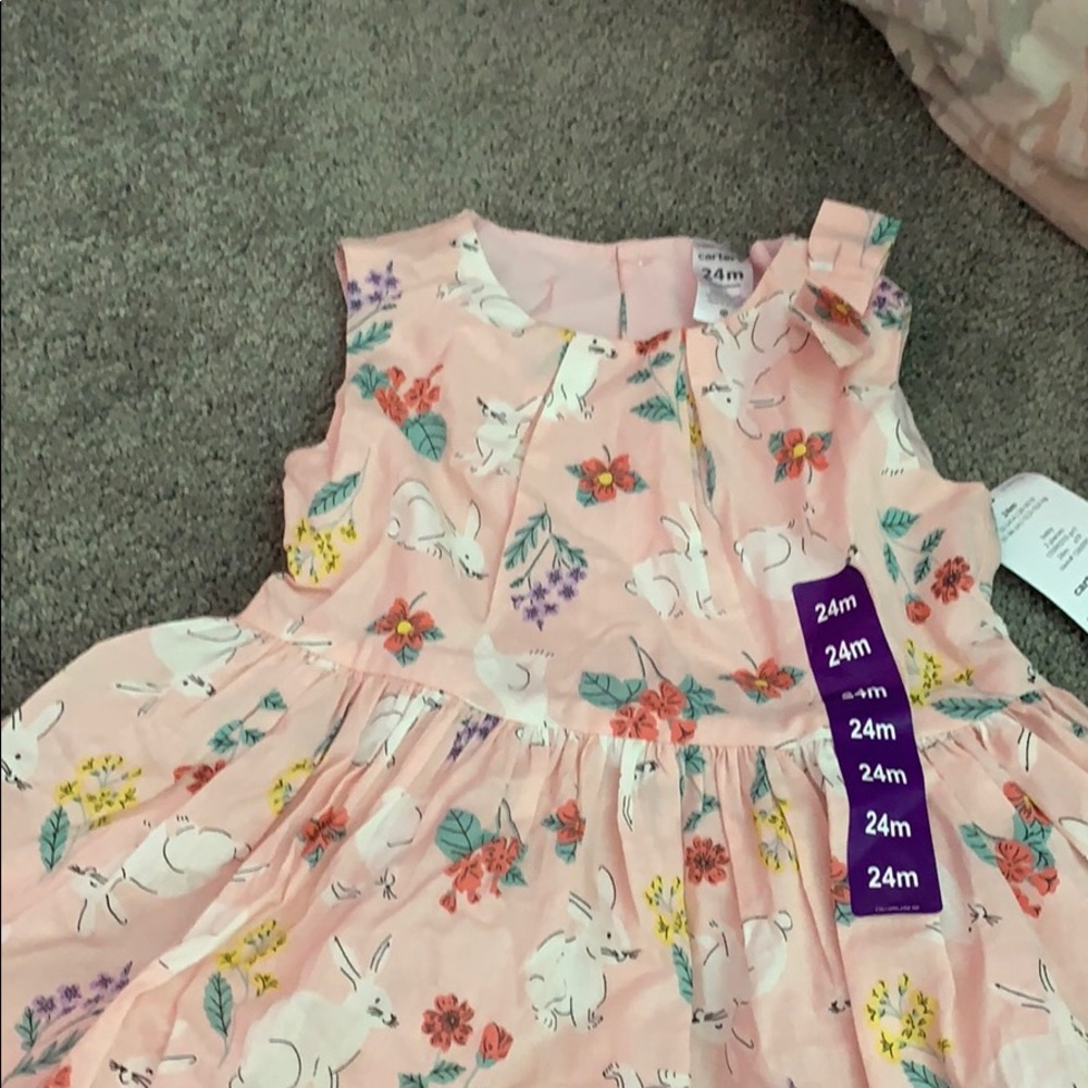 Carter’s dress